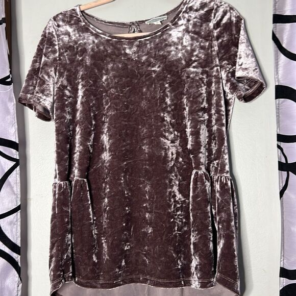 Pleione plum color crushed velvet top - Picture 2 of 9